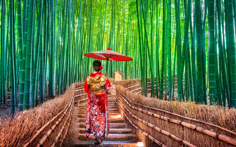 arashiyama bambusy e1647941247969