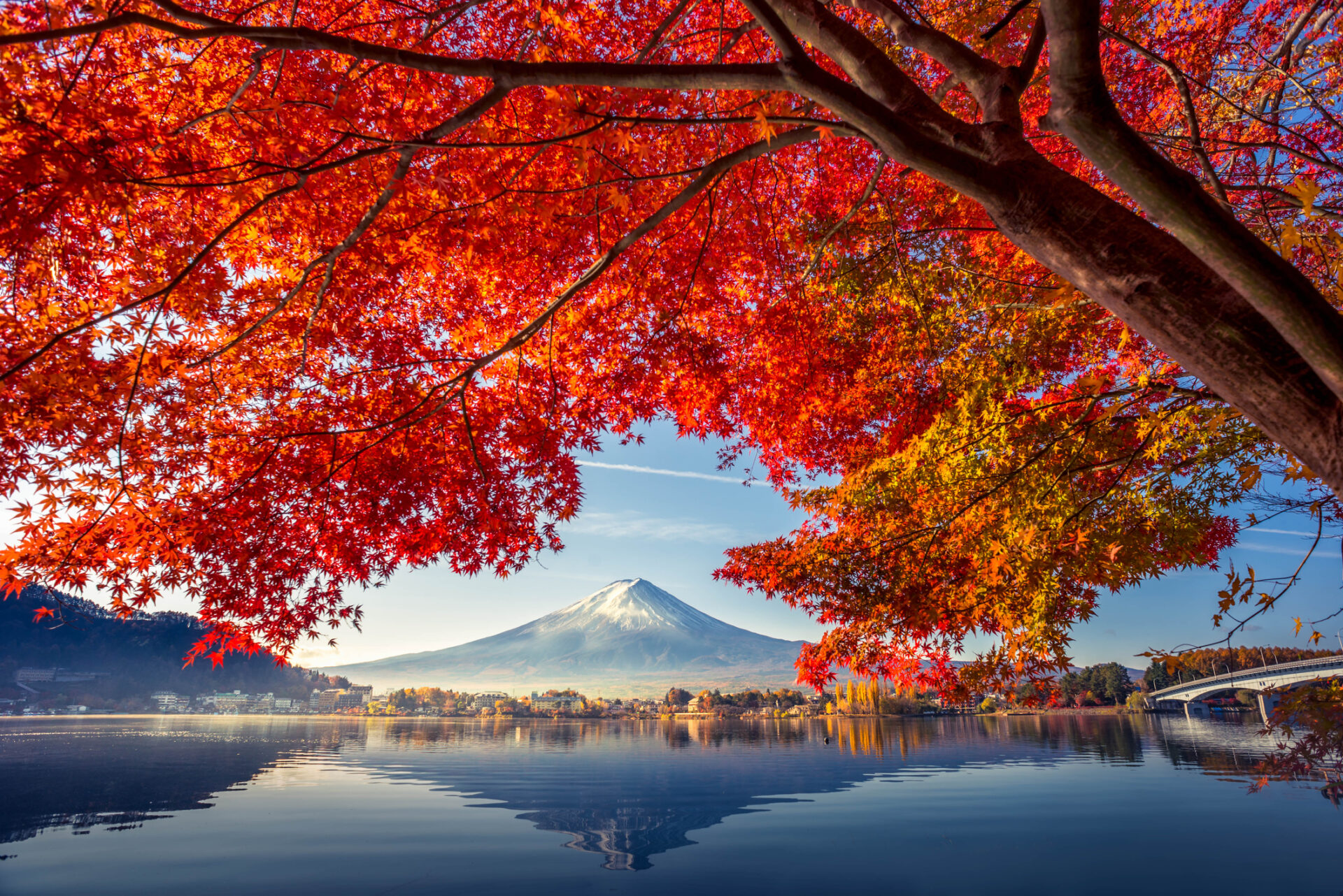 Núi Phú Sĩ mùa lá vàng - lá đỏ