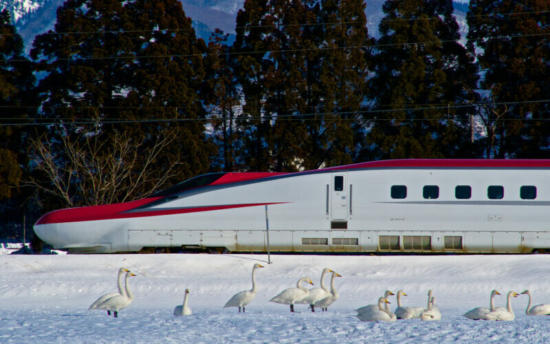 tau cao toc shinkansen 3 e1647591806968