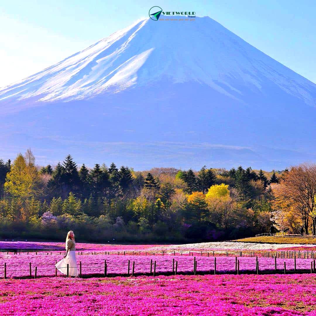 Du lịch Nhật Bản thăm núi Phú Sĩ