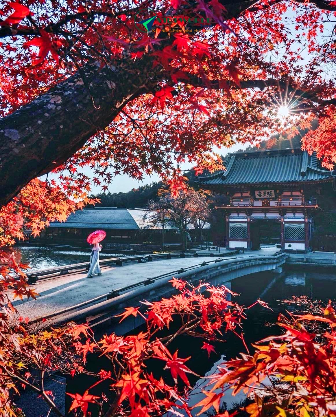 Du lịch Nhật Bản thăm cố đô Kyoto 