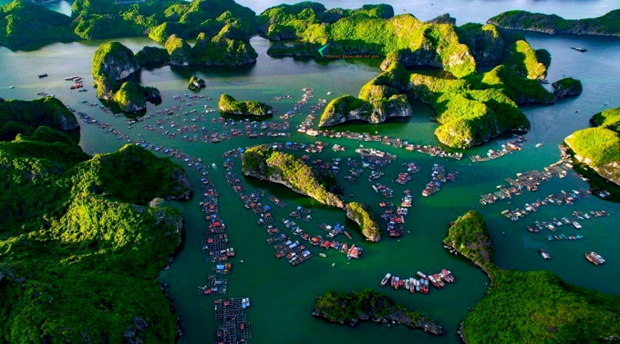 Tour Miền Bắc 5 Ngày 4 đêm thăm vịnh Hạ Long 