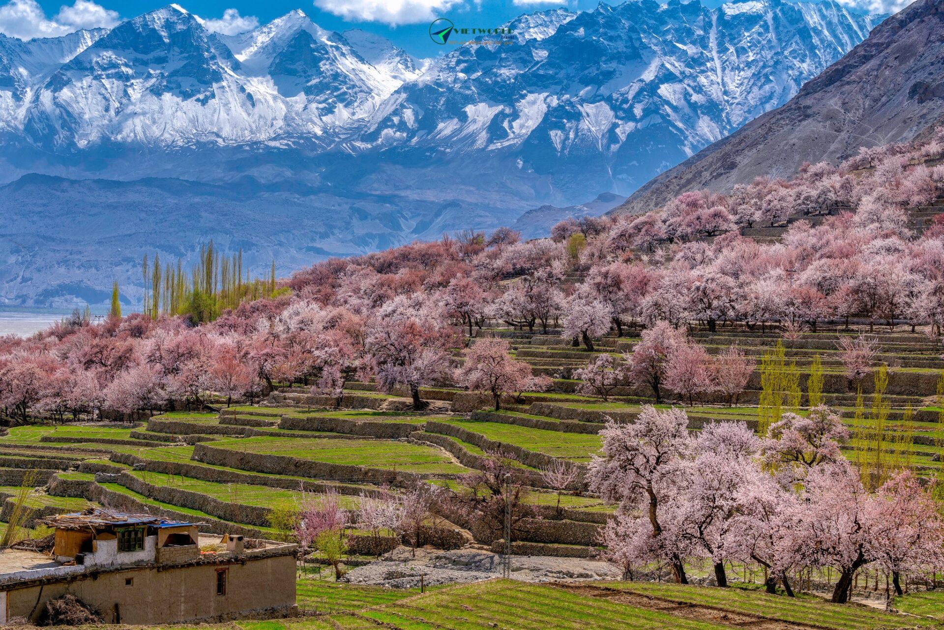 Tour du lịch Pakistan mùa xuân