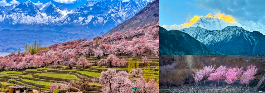 Tour Pakistan Mùa Xuân 11N10Đ