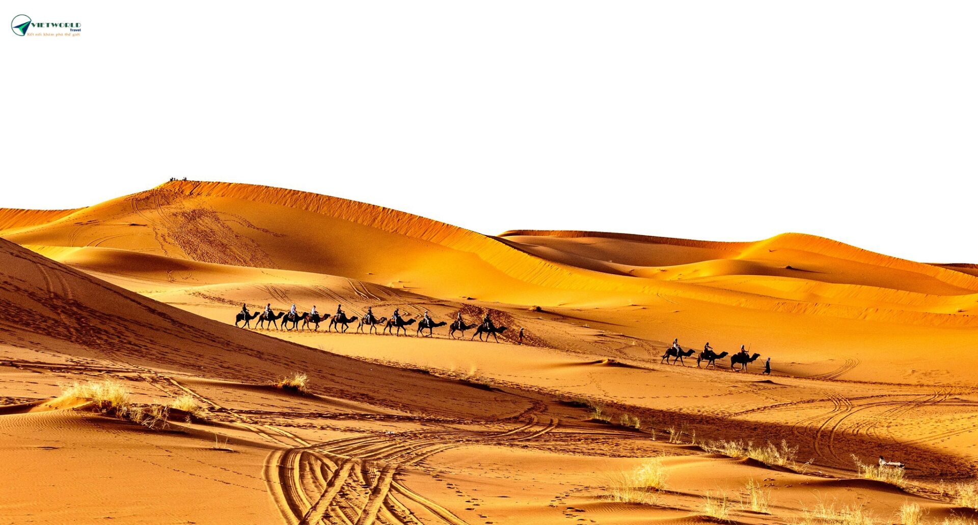 Tour Maroc Từ Sài Gòn 10N9Đ- Cưỡi lạc đà sa mạc Sahara