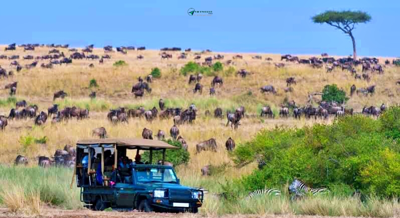 Tour 3 nước Đông Phi - thăm khu bảo tồn thiên nhiên Maasai Mara Kenya