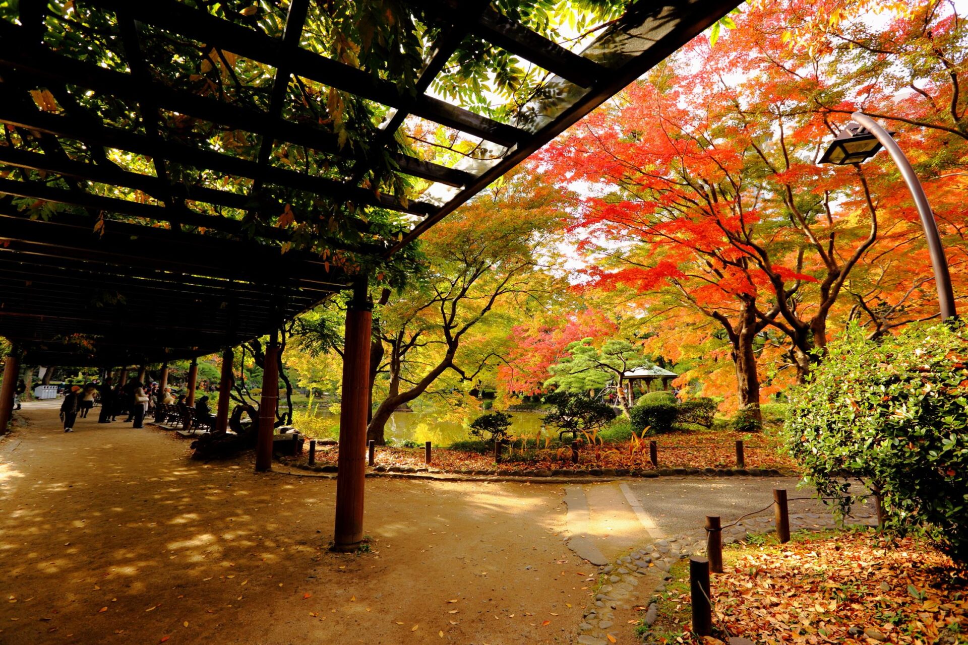 Hibiya Park – Mùa thu giữa Tokyo hiện dại scaled