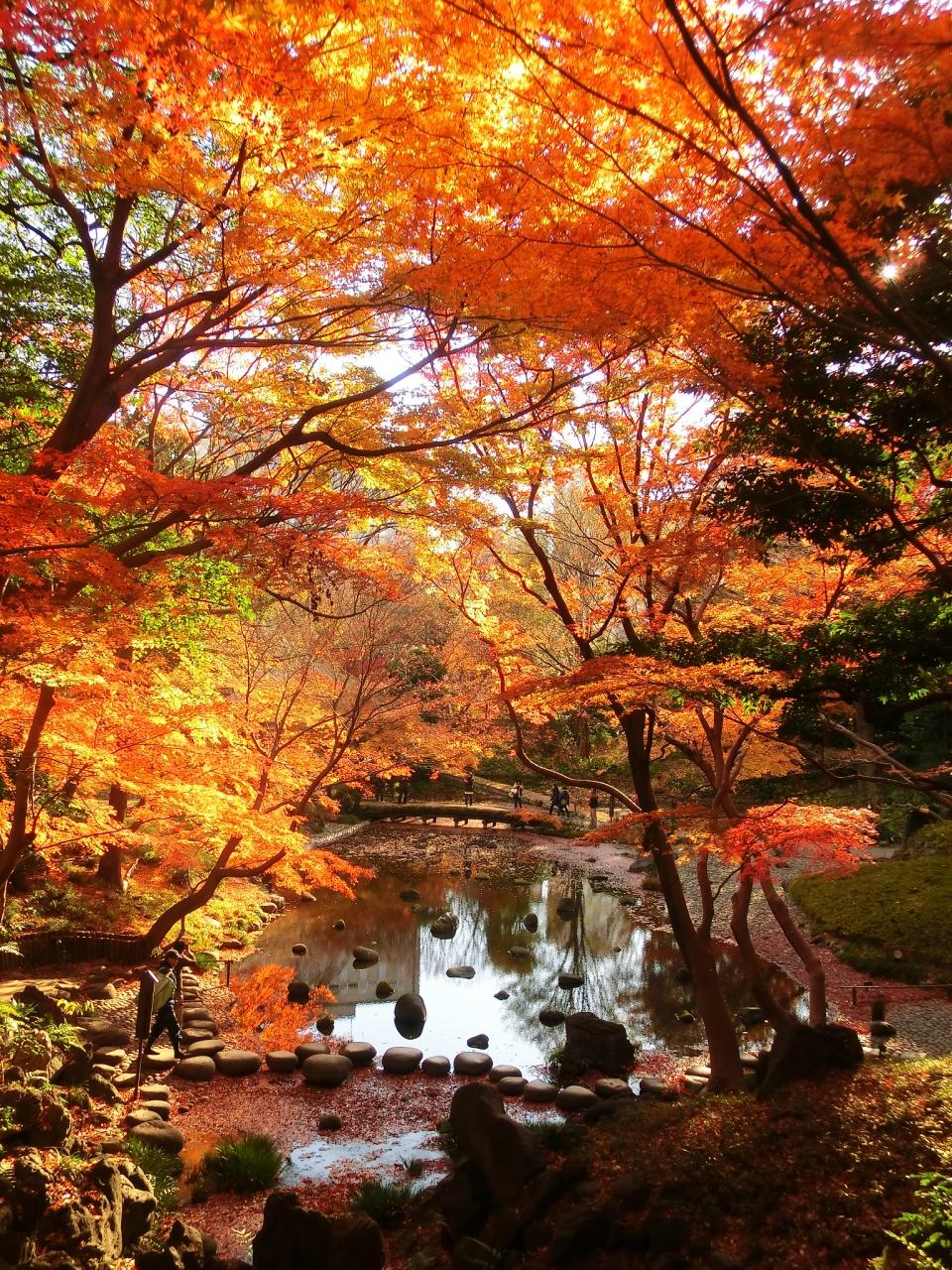 Koishikawa-Korakuen-–-Vườn-Nhật-mùa-thu.jpeg