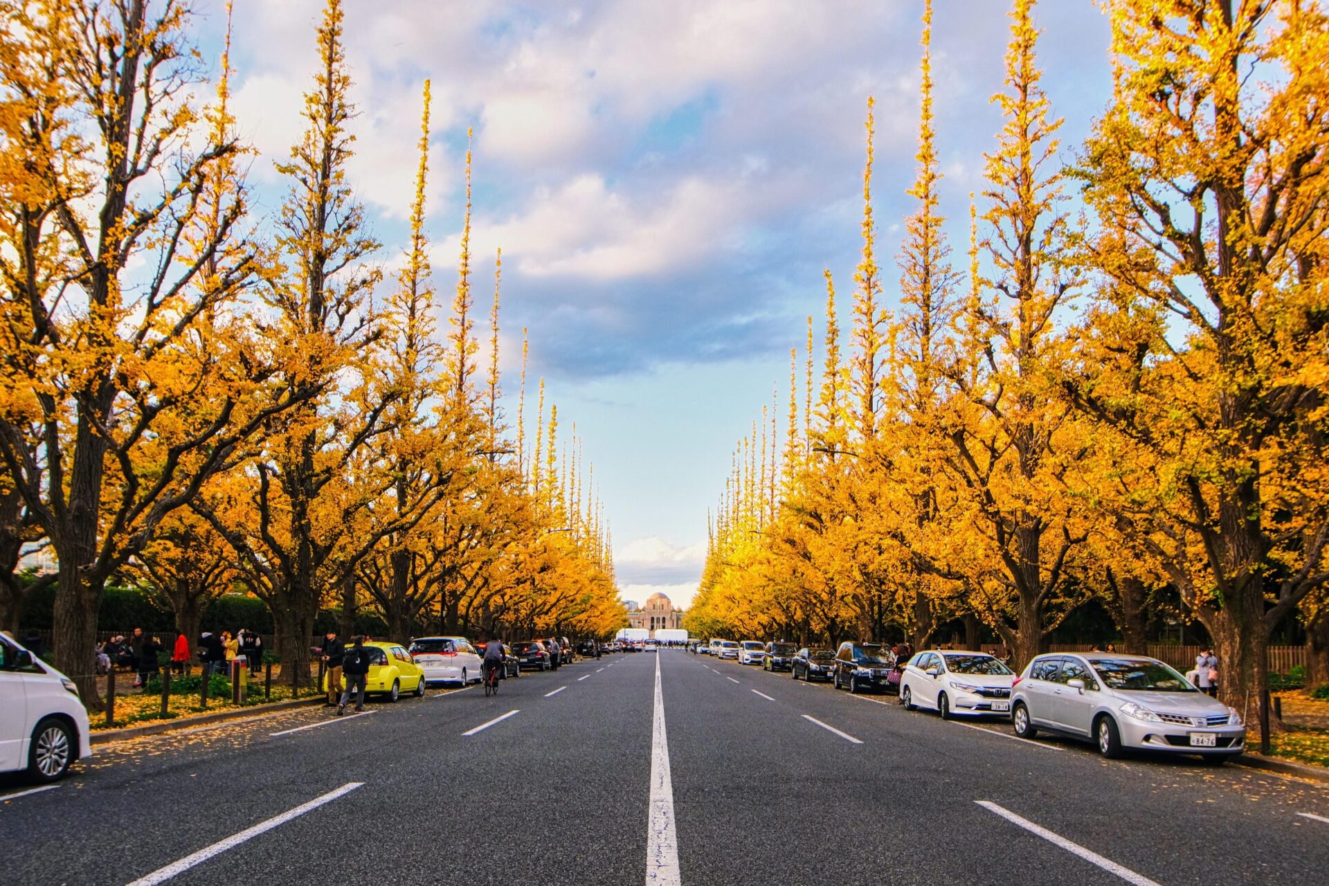 Tokyo mùa thu – 8 địa điểm chụp hình đẹp nhất Tokyo 2 Meiji-Jingu-Gaien