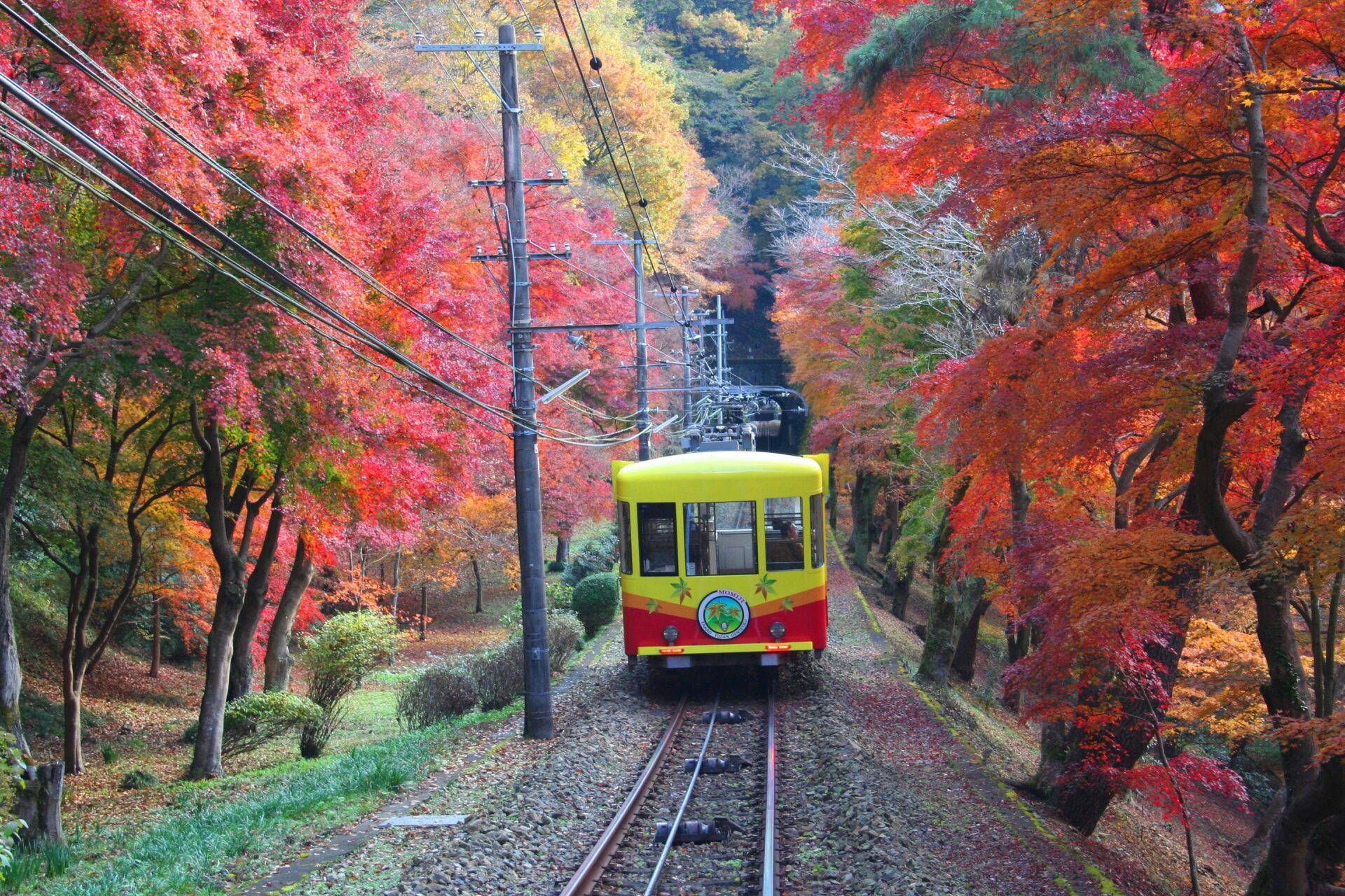 Núi-Takao